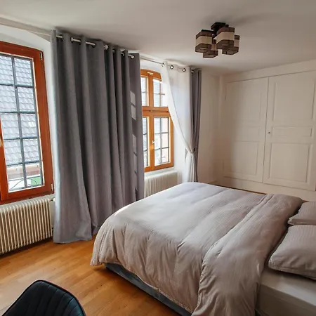 La Cure Grand Familial 3 Avec Terrasse Et Parking A 10 Minutes De Colmar Appartement
