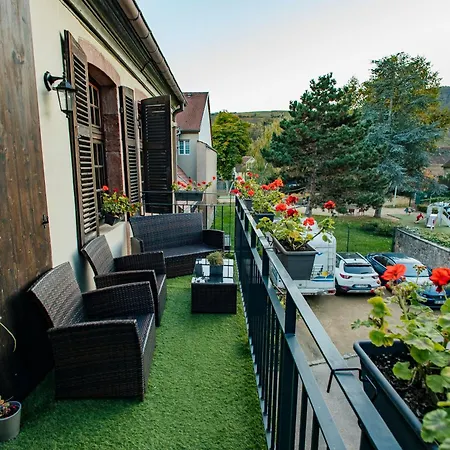 La Cure Grand Familial 3 Avec Terrasse Et Parking A 10 Minutes De Colmar * Wintzenheim