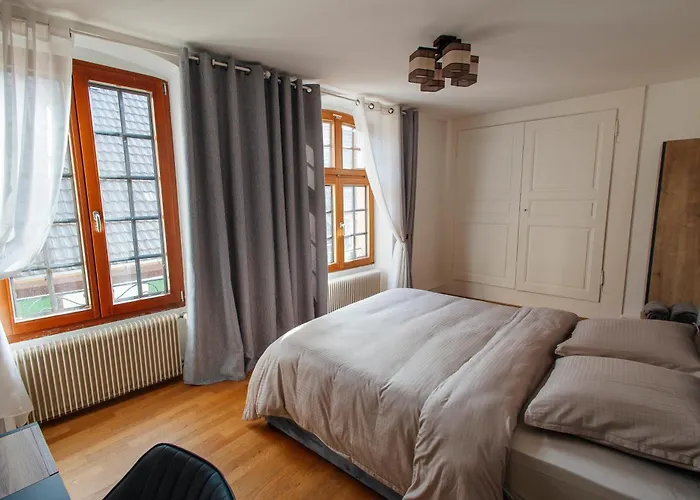 La Cure Grand Familial 3 Avec Terrasse Et Parking A 10 Minutes De Colmar Apartment