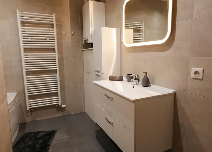 La Cure Grand Familial 3 Avec Terrasse Et Parking A 10 Minutes De Colmar Appartement Wintzenheim