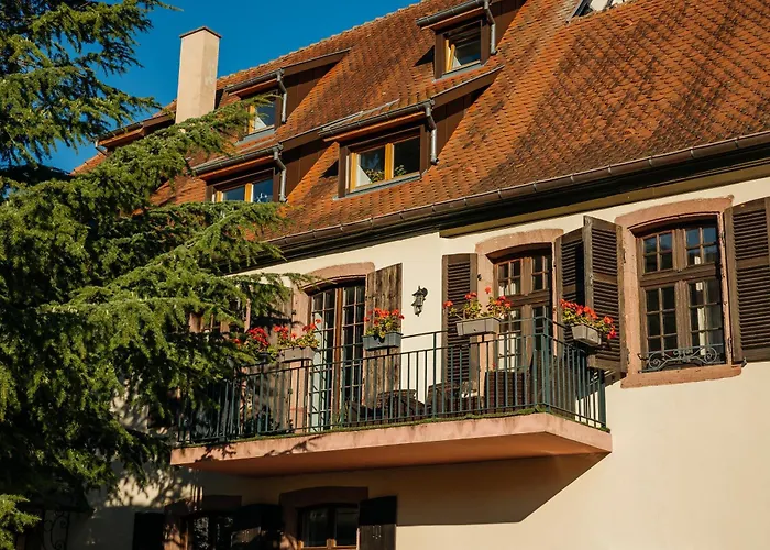 La Cure Grand Familial 3 Avec Terrasse Et Parking A 10 Minutes De Colmar Appartement *